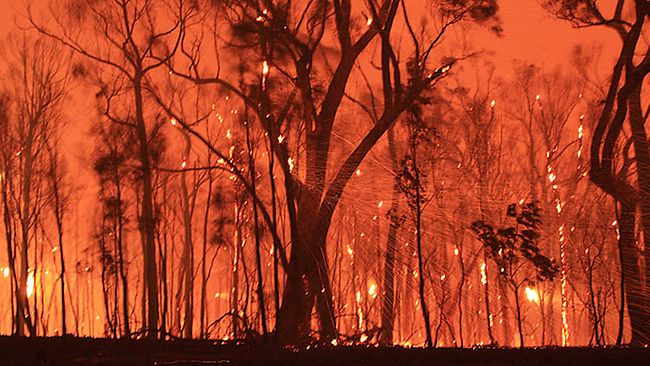 Social media bushfires