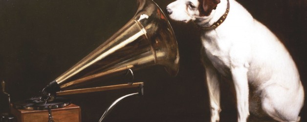 The dog’s twitter failure – a lesson in crisis management