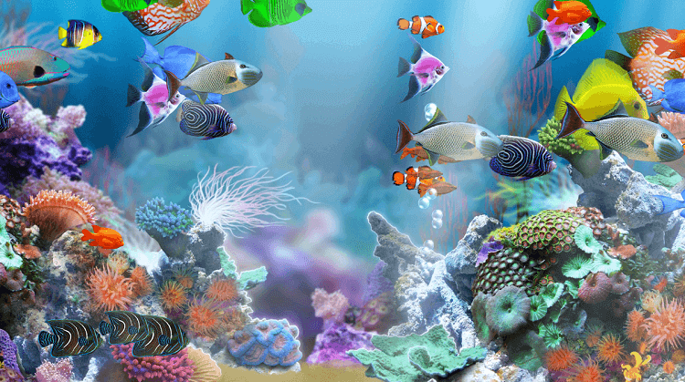 Ignoring the health of a companies culture is like letting aquarium water get dirty