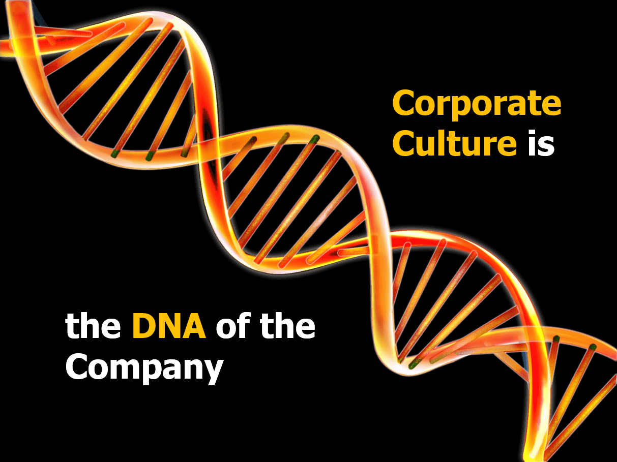 The culture of an organization is practically its DNA