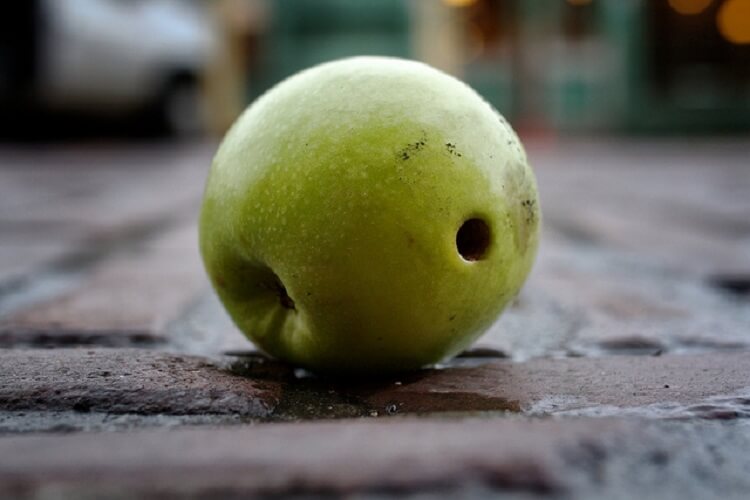 Don't mess up company culture