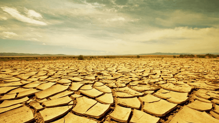 Avoid an organizational monoculture