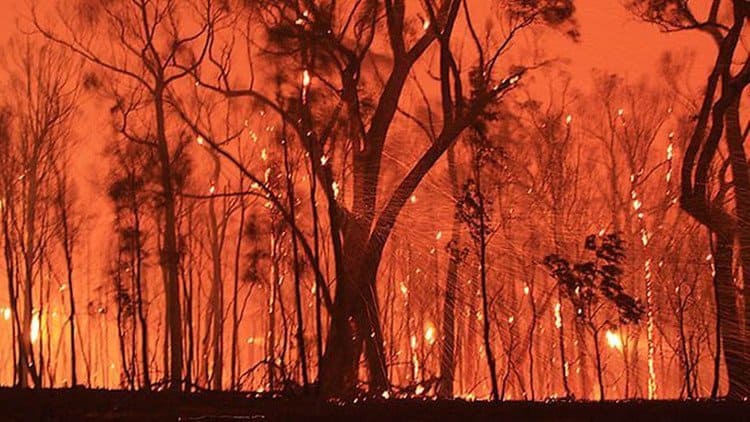 Avoid social media bushfire - Social media attack