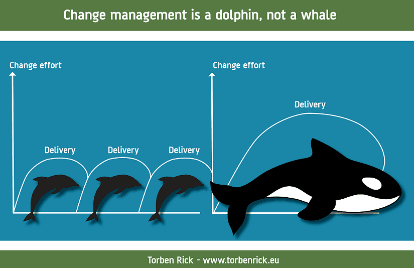 Change management is a dolphin, not a whale - What have dolphins and whales to do with change management?