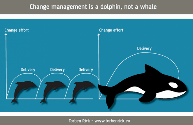 Organizational change - Sustaining change - Think dolphins and not whales