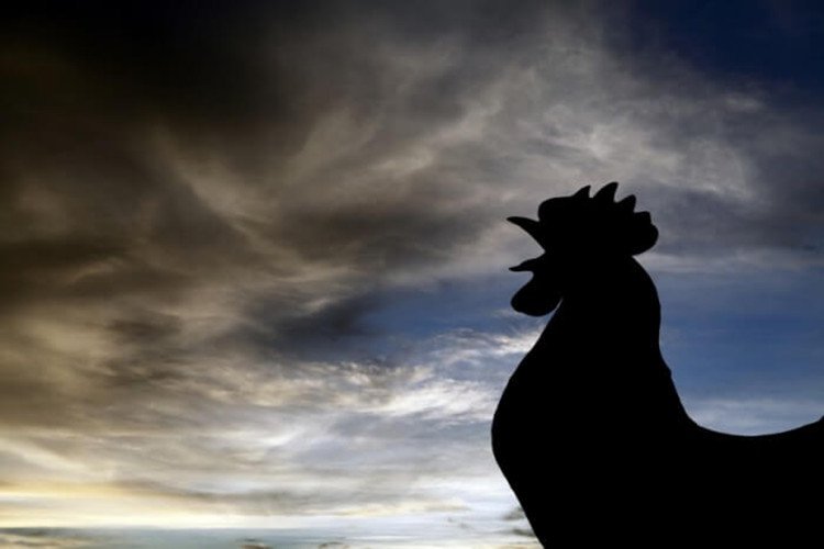 Changing organizational culture is daunting