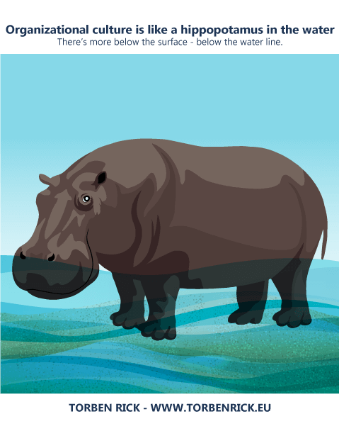 Organizational culture is like a hippopotamus in the water