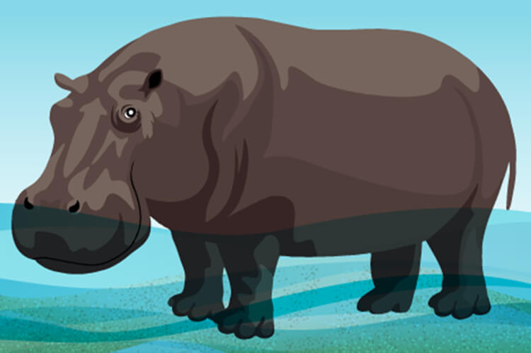 Organizational culture is like a hippopotamus in the water or like a message in a bottle - Illustration