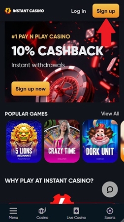online bookmaker